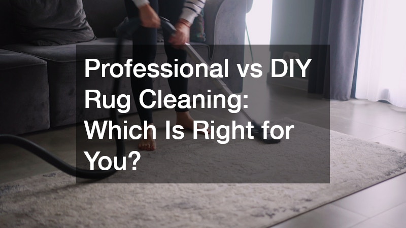 Professional vs DIY Rug Cleaning  Which Is Right for You?